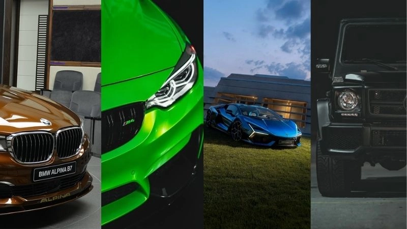 Kỷ Tỵ thuộc mệnh Mộc, nạp âm Đại Lâm Mộc, tương hợp với các màu xanh lá cây, xanh lá mạ, xanh bạc hà và nâu