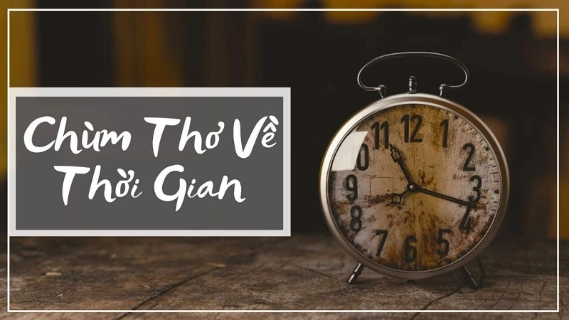 Câu tục ngữ về lãng phí thời gian