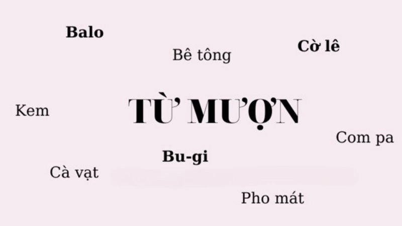 Từ vay mượn được mượn từ các ngôn ngữ khác ngoài tiếng Hán, chủ yếu từ tiếng Pháp, tiếng Anh