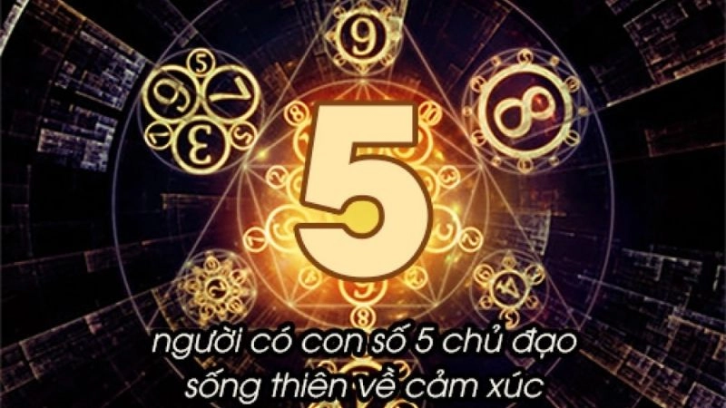 Những người mang số 5 rất coi trọng sự tự do cá nhân.