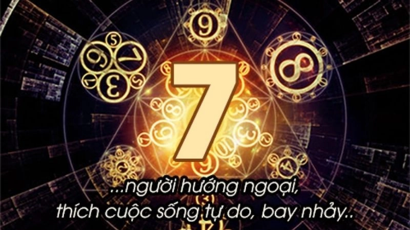 Những người mang con số 7 thường giỏi nghiên cứu, phân tích và trực giác nhạy bén