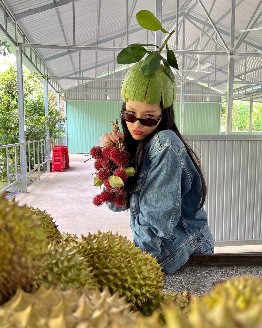 Cùng tận hưởng những bài hát yêu thích trong miu lê playlist đầy cảm hứng