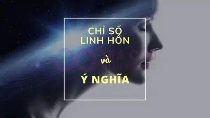 Chỉ số linh hồn thể hiện khát vọng sâu thẳm trong mỗi con người