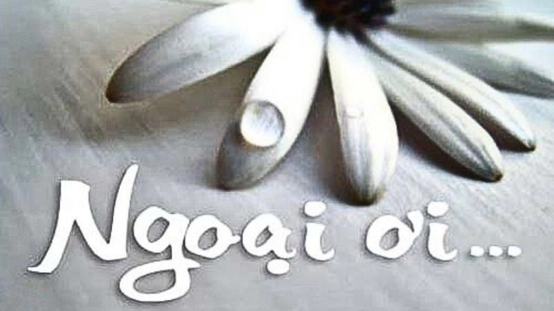 bài thơ nhiều cảm xúc về bà khi bà mất với nhiều thể loại thơ khác nhau