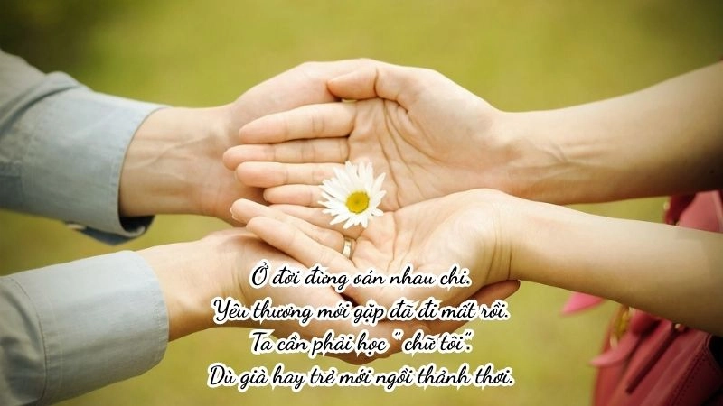 thơ hay, ngắn 4 câu về cuộc sống an nhiên