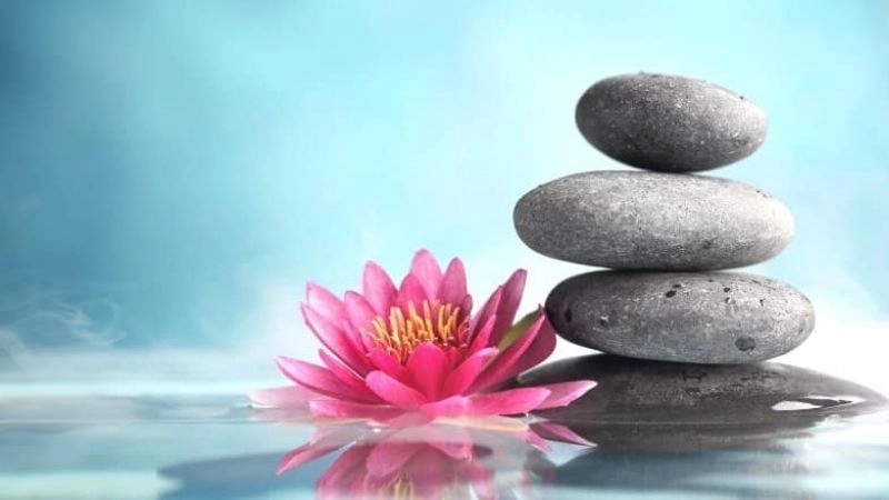 Sống lạc quan chính là liều thuốc bổ cho tất cả mọi người