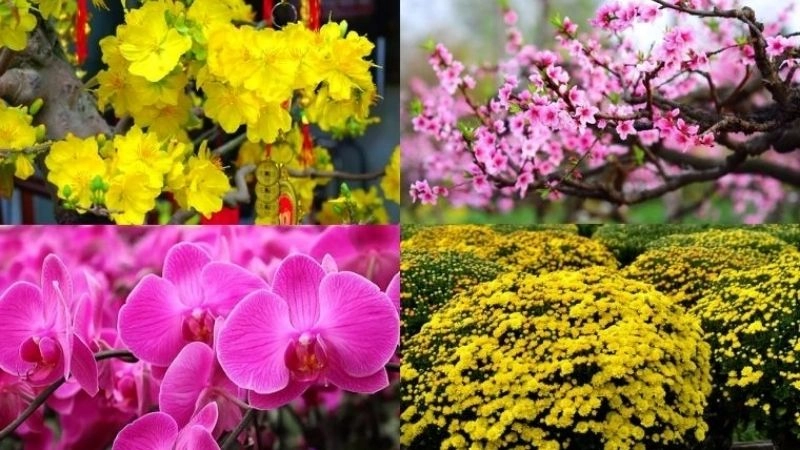 Thơ về tết và mùa xuân luôn là chủ đề hot được cả người đọc lẫn thi si yêu thích