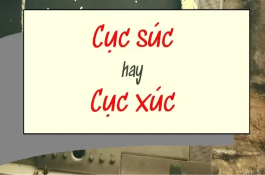 Cục súc hay cục xúc đúng chính tả gây tranh cãi lớn