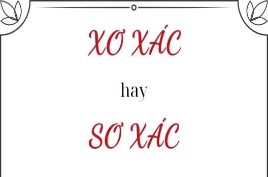 Xơ xác hay sơ xác đúng chính tả? Tìm hiểu để không nhầm lẫn!