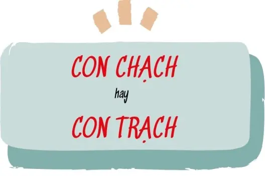 Con chạch hay con trạch đúng chính tả để viết văn ấn tượng