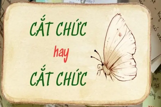 Cắt chức hay cách chức đúng chính tả theo chuẩn văn phạm