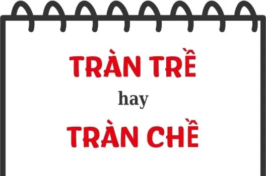 Tràn trề hay tràn chề đúng chính tả mà ai cũng viết sai