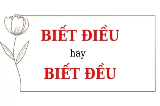 Biết đều hay biết điều đúng chính tả ai cũng cần nắm rõ