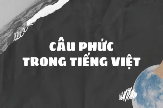 Câu phức trong tiếng Việt - Đặc điểm, cấu trúc và ví dụ