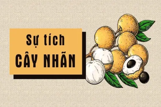 Tóm lược truyện cổ Sự tích cây nhãn ý nghĩa nhân văn