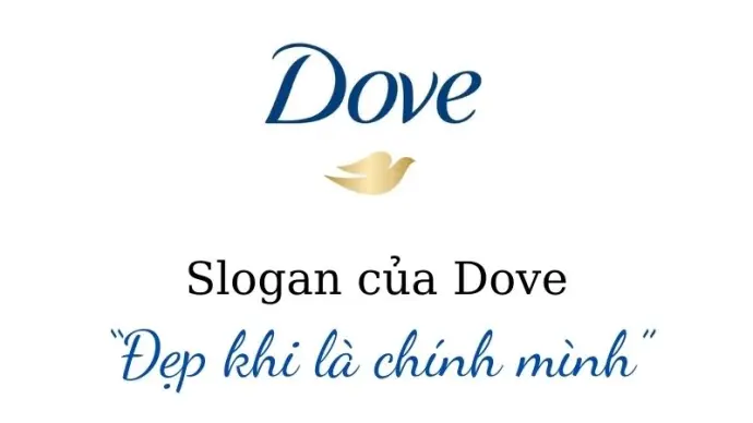 Vì sao slogan Dove “Đẹp khi là chính mình” gây bão mạng