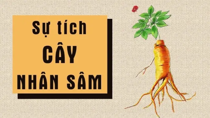 Tóm tắt truyện cổ tích Việt Nam – Sự tích nhân sâm hay nhất