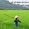 60+ Câu Ca Dao Tục Ngữ Về Lao Động Sản Xuất, Cần Cù Và Sáng Tạo