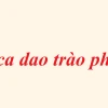 Chùm Ca Dao Trào Phúng Những Lời Cay Đắng Ý Nghĩa Lớp 8