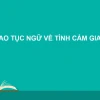 Khám phá 5 câu tục ngữ ý nghĩa về tình cảm gia đình