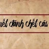 Kho tàng thành ngữ, tục ngữ Việt Nam và ý nghĩa cuộc sống