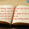 Tuyển tập câu ca dao, tục ngữ ý nghĩa về thầy cô giáo