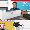 8 Nguyên Nhân Máy In HP Không In Được Và Cách Khắc Phục Hiệu Quả