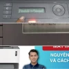 Khắc Phục Lỗi "Toner Low" Trên Máy In HP Hiệu Quả Nhất