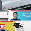 Khắc Phục Máy In HP Laserjet P1006 Không In Được Cập Nhật 2026