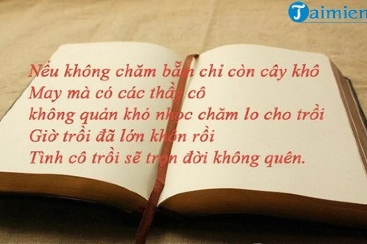 Tuyển tập câu ca dao, tục ngữ ý nghĩa về thầy cô giáo