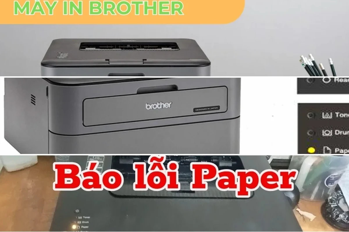 Máy In Brother HL-L2321D Báo Lỗi Paper Nguyên Nhân và Cách Xử Lý Hiệu Quả