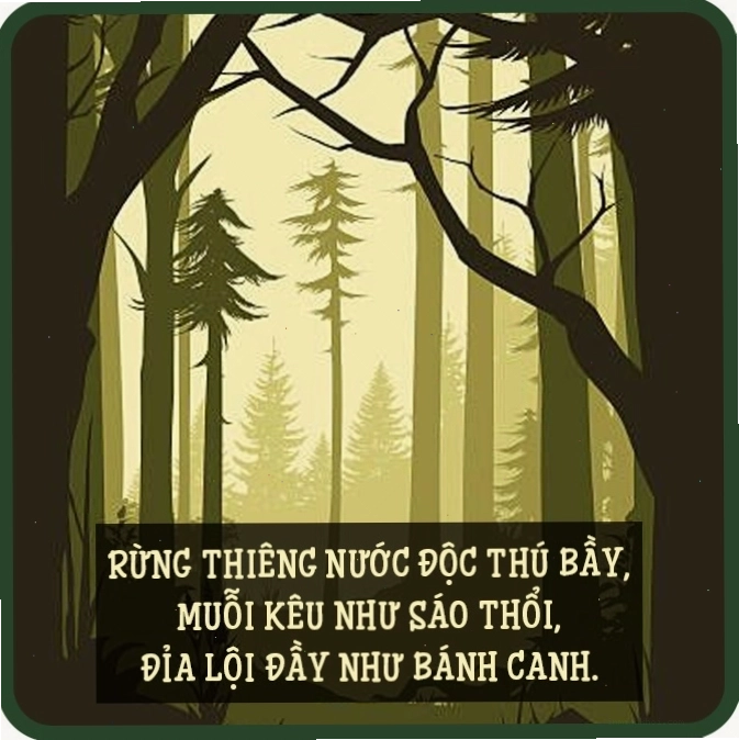 Cảnh cánh đồng lúa chín vàng dưới nắng