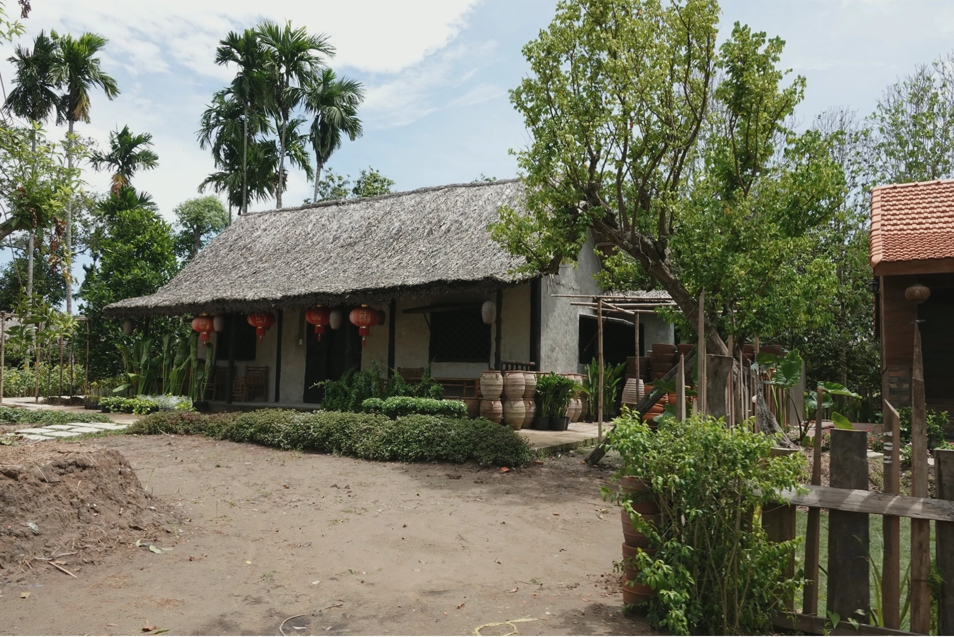 Cảnh làng quê Nam Bộ thanh bình với những rặng dừa xanh mát