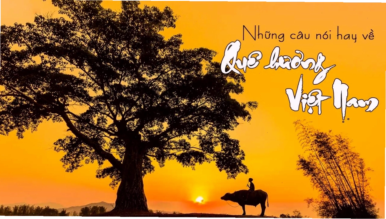 Cảnh quê hương thanh bình với con đường làng