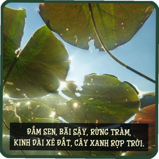 Cảnh Vịnh Hạ Long với những đảo đá vôi kỳ vĩ