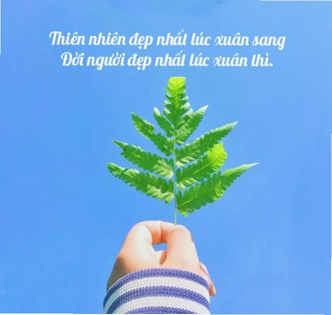 Câu tục ngữ về thời gian: Ai ơi, đã đến thì ở, đã trọ thì về