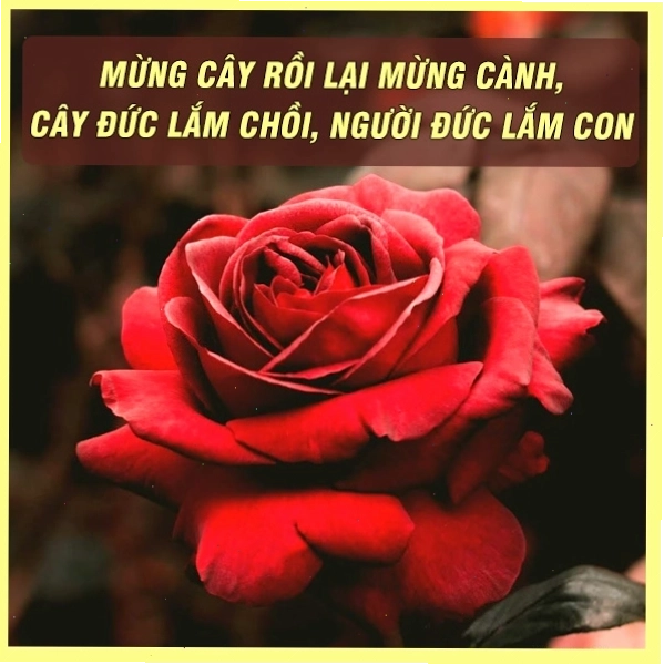 Hình ảnh bàn tay trao nhau mang ý nghĩa sẻ chia và giúp đỡ
