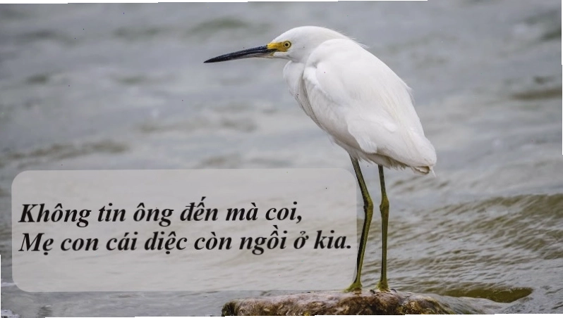 Hình ảnh cái cò, cái vạc, cái nông trong bài ca dao
