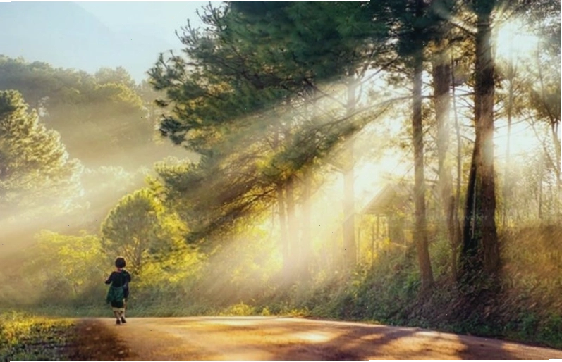 Hình ảnh đại diện cho mối quan hệ mẹ chồng nàng dâu