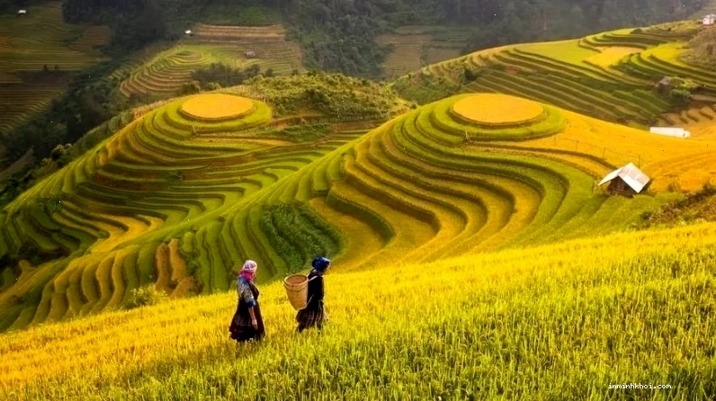Hình ảnh đất nước Việt Nam hùng vĩ