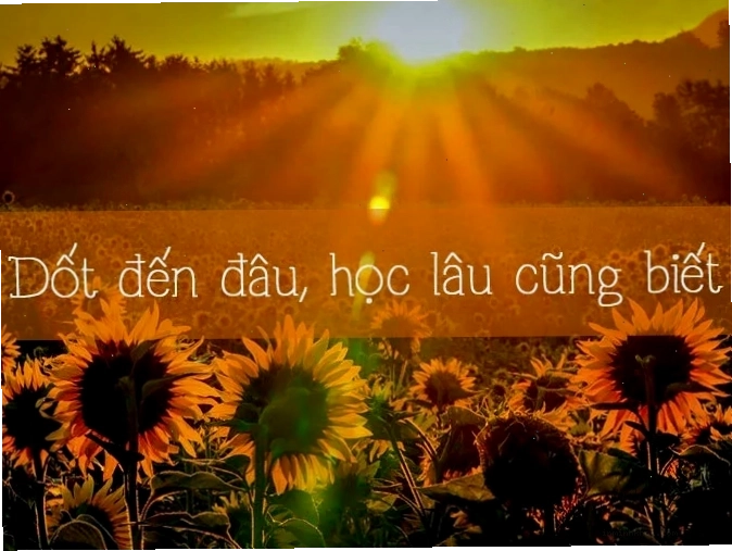 Hình ảnh học sinh kính cẩn lắng nghe thầy cô giảng bài