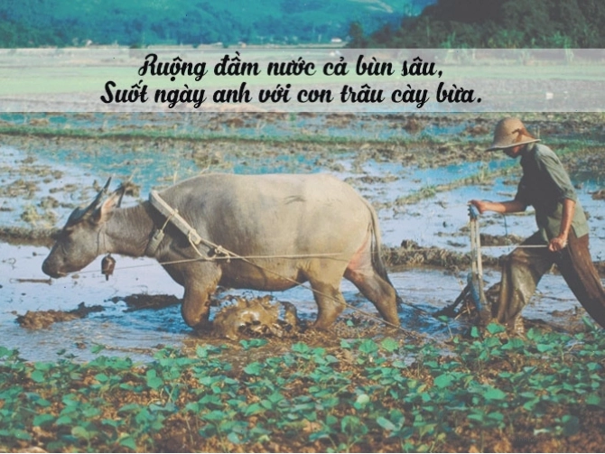 Hình ảnh minh họa về lao động sản xuất nông nghiệp truyền thống
