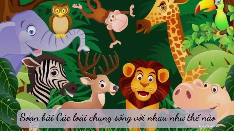 Học sinh soạn bài ca dao