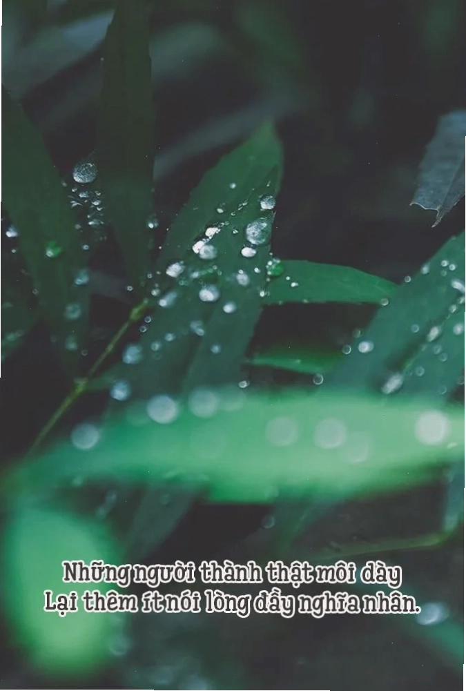 Minh họa câu tục ngữ về sự thật