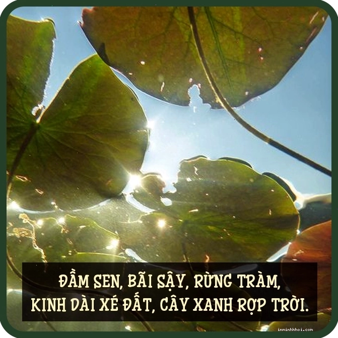 Người dân làm việc trên đồng ruộng, thể hiện sự cần cù lao động