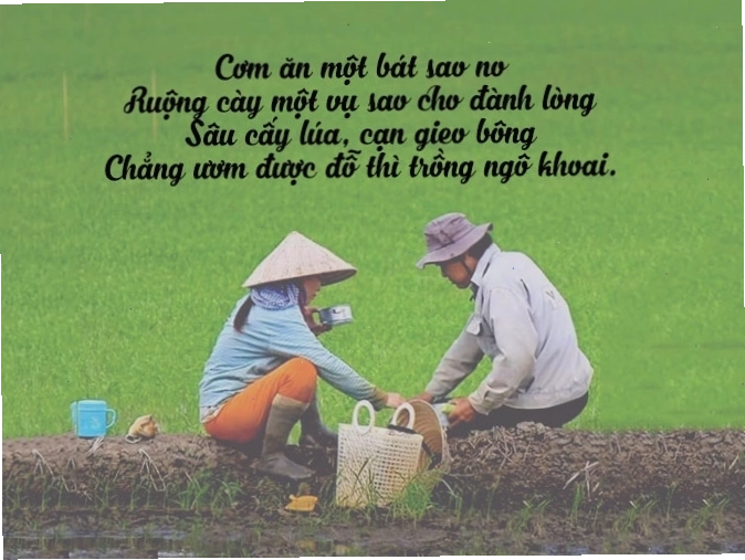 Người nông dân đang chăm sóc ruộng đồng, thể hiện sự cần cù trong lao động sản xuất