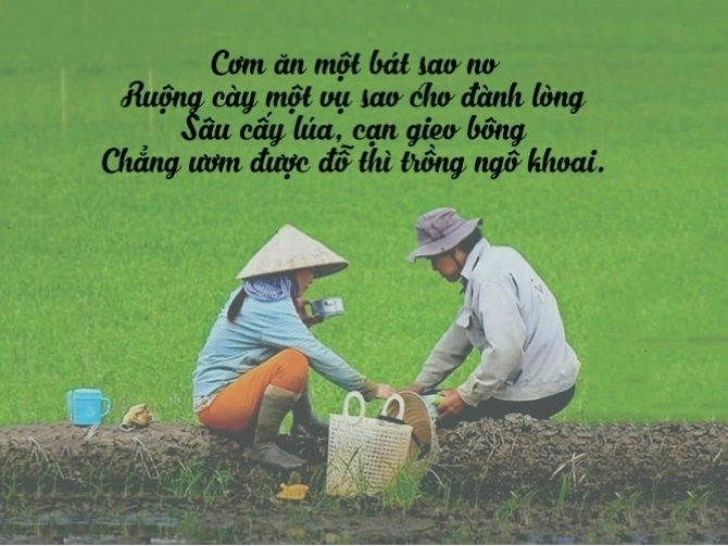 Người nông dân đang chăm sóc vườn cây