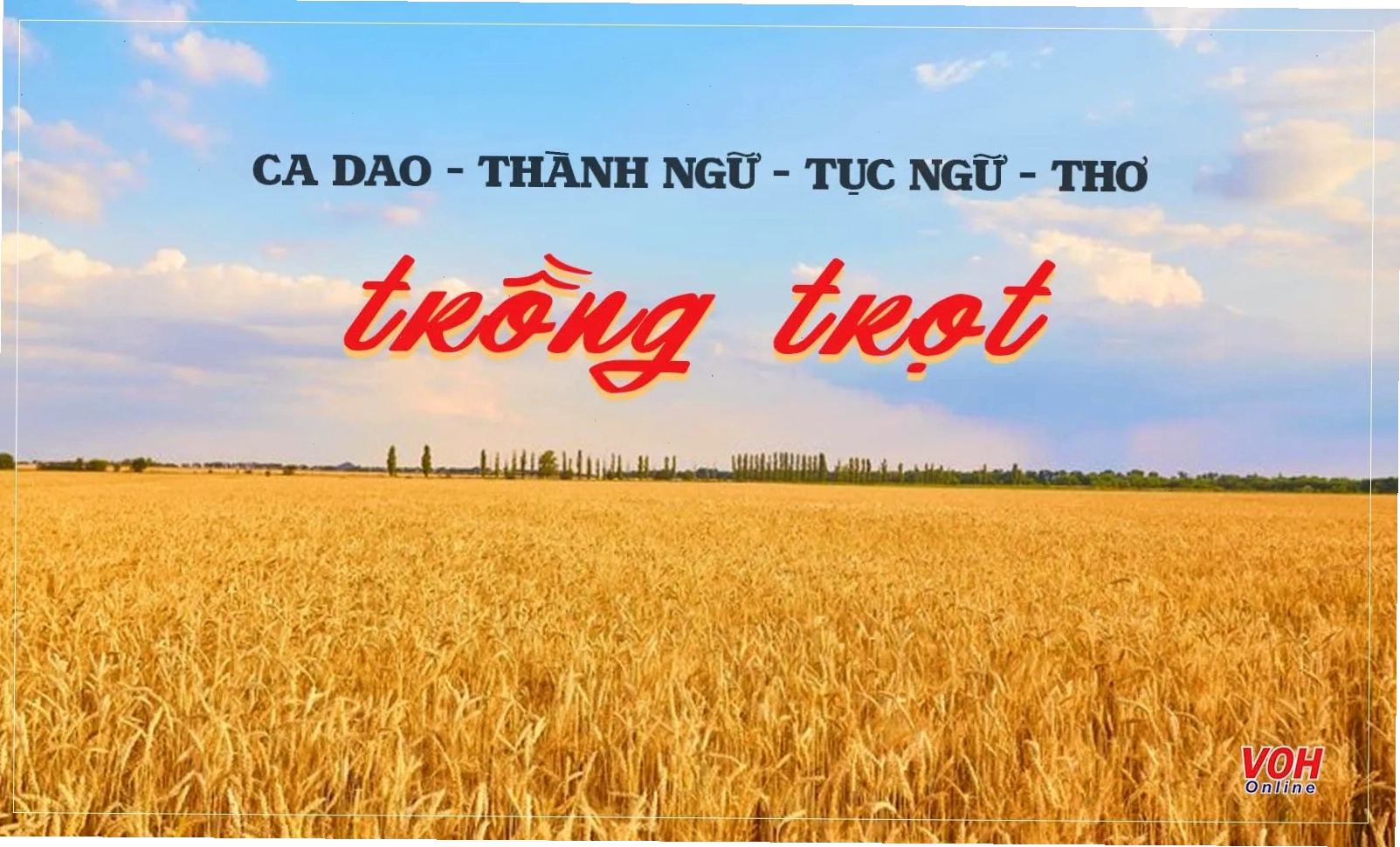 Người nông dân đang thu hoạch rau củ