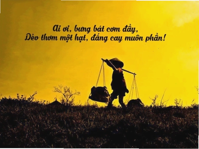 Nhiều người cùng nhau lao động trên cánh đồng