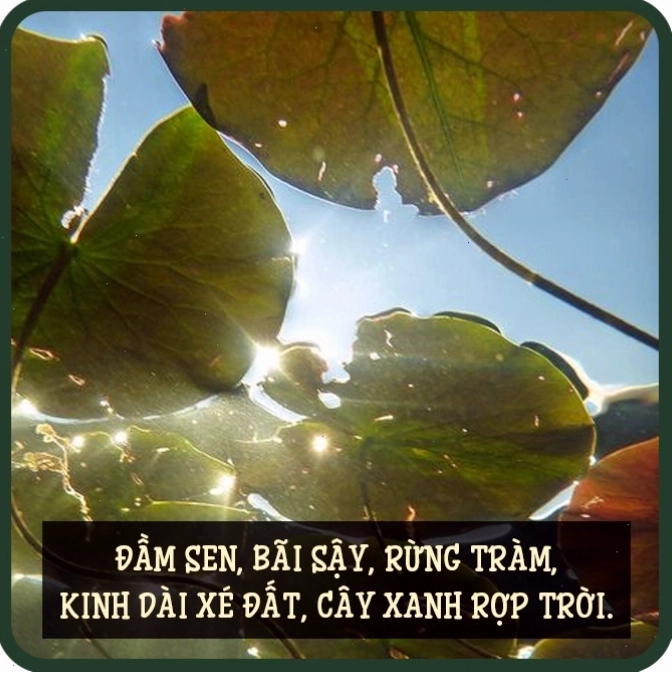 Nhiều thế hệ quây quần bên nhau
